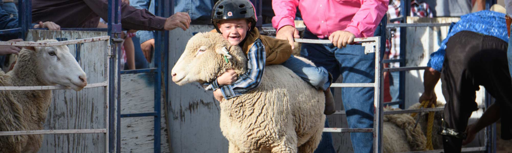 Mutton Bustin